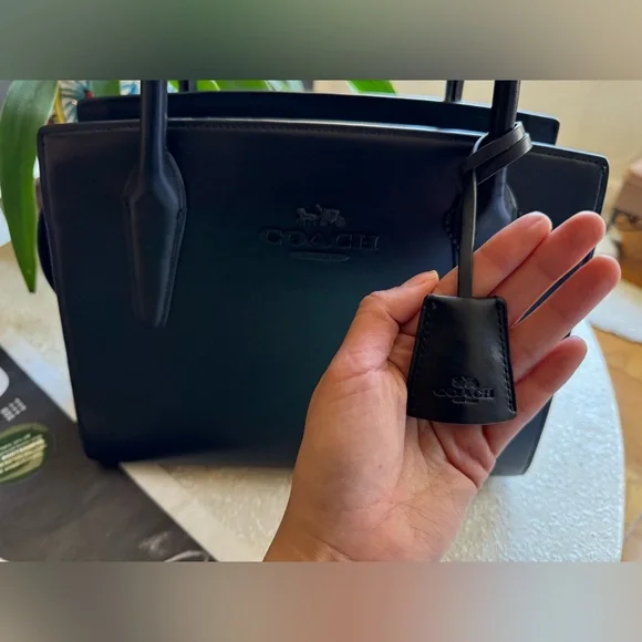 Large Andrea Carryall Bag, Used Once - Picture 3 of 9